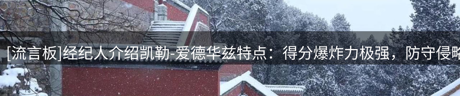 网站快讯